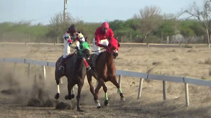 Barbuda June 2022 Race 8 Zaragoza vs Lynn's