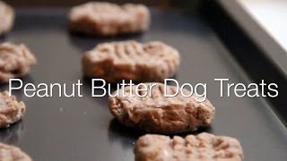 DIY Peanut Butter Dog Cookies - Cuteness.com