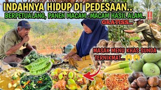 INDAHNYA HIDUP DI PEDESAAN | Panen Hasil Kebun dan Masak Menu Khas Sunda 
