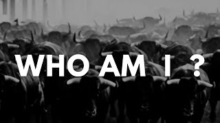 Episode #8 - A Discussion about Identity