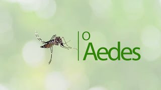 Dengue, Zika e Chikungunya: As doenças do Aedes