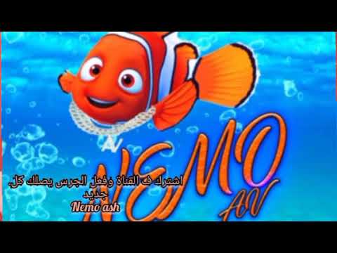 حصريا  مهرجان مفيهاش ولا غلطه غناء زيزو النوبي و حمو صبحي 2021