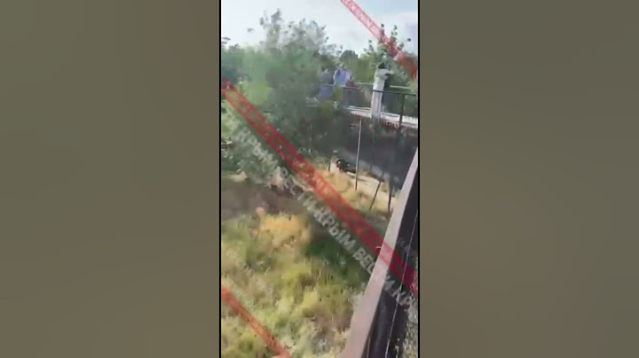 ⚡️⚡️⚡️Кадры нападения льва на Олега Зубкова в парке тайган