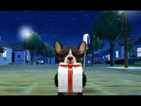 nintendogs + cats: French Bulldog & New Friends Playthrough Part 4