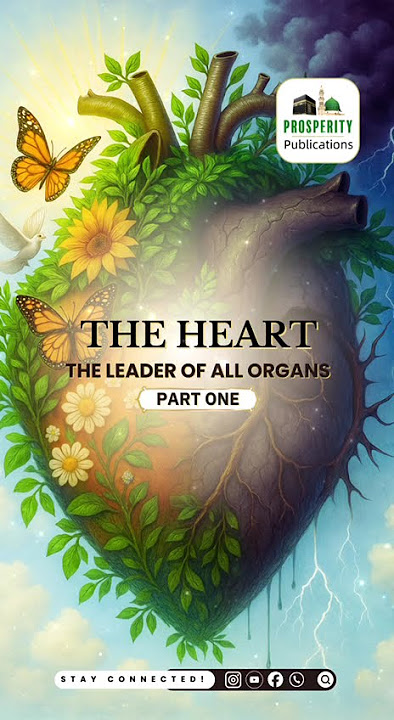 The Heart - Part 1 #heart #hearttouching #islam