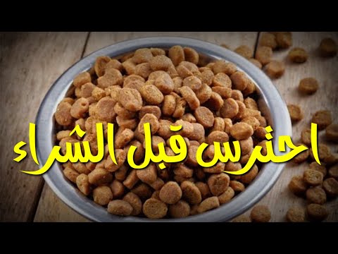 كيف تختار الدراي فود المناسب لكلبك وأضرار الاختيار الخاطىء