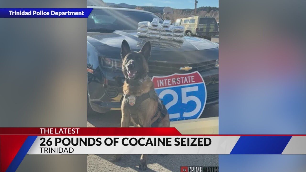 26 lbs of cocaine seized during traffic stop in Trinidad