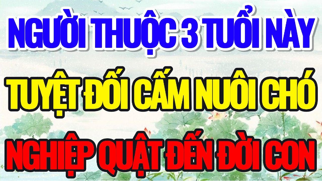 NGƯỜI THUỘC 3 TUỔI NÀY, TUYỆT ĐỐI CẤM NUÔI CHÓ, KẺO NGHIỆP QUẬT ĐẾN ĐỜI CON - Lời Phật Dạy