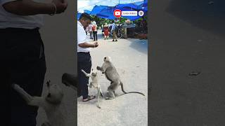 Baccha Kitna Khush Hai