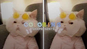 +2 colorings inspired after effects on alight motion | with qr code