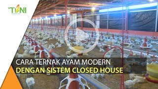 Mengenal Cara Ternak Ayam Dengan Sistem Closed House