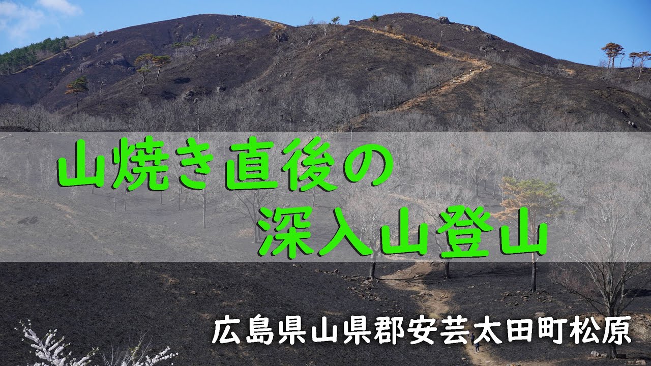 深入交流的视频素材