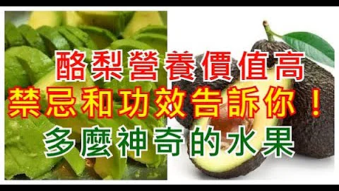 酪梨营养价值高，禁忌和功效告诉你！ - 天天要闻