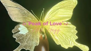 Peak of Love///Aldi Haqq (official music video teks )