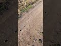 24 сентября 2025 г.