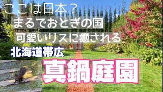 【北海道】真鍋庭園で癒されるリスや花々が溢れる夢のような庭園散歩