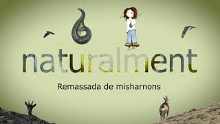NATURALMENT - REMASSADA DE MISHARNONS