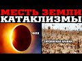 Месть Земли 15 декабря 2020 ! Откуда столько саранчи ? Солнечное затмение в Чили ! Изменение климата