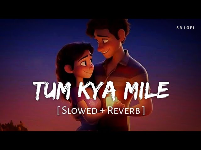 Tum Kya Mile (Slowed + Reverb) | Arijit Singh, Shreya Ghoshal | SR Lofi class=