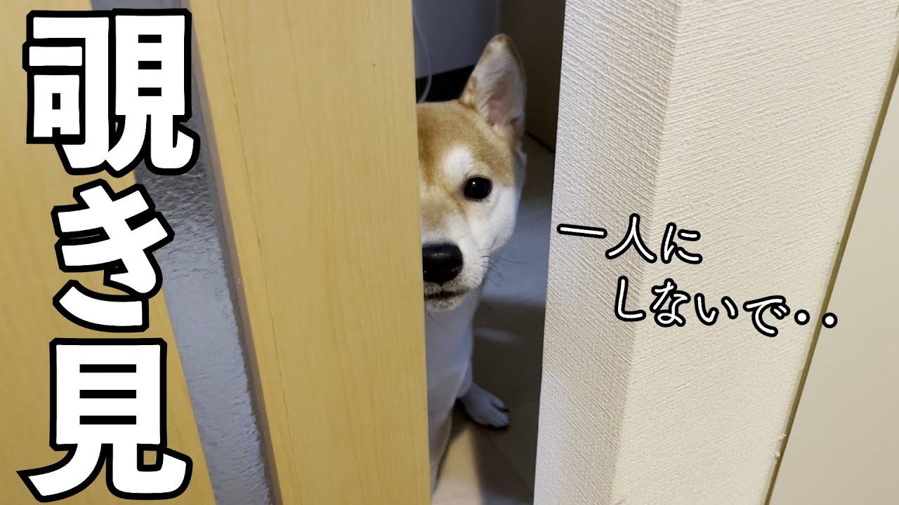 maxresdefault.jpg