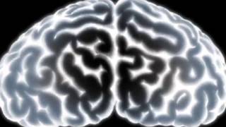 A Look At Future Human Evolution, What We Might Look Like And How We Have Already Changed