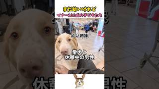 大人よりマナーがいいかも…