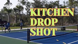 Anton Pravak kitchen drop shot #pickleballskills #pickleballclinic #pickleballstrategy #pickleball