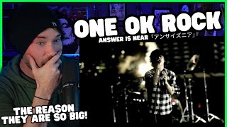 Metal Vocalist Reacts - ONE OK ROCK Answer Is Near「アン