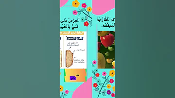 خمس نصائح لحقيبة الطعام المدرسية الصحية شورت طعام صحي الحمية الغذائية السمنة شورتس Shorts Short 