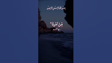 [ سورة الشورى: 52]Surah Ash-Shura 🪻