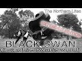 The Northern Lites - BLACK SWAN (Extended Edition)
