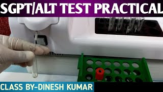 SGPT | ALT Test Practical video | LFT TEST Practical video in Hindi