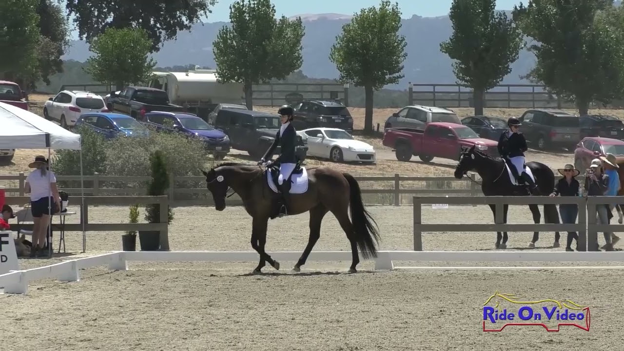 177D Olivia Bodner on Nil Phet SR Beginner Novice Dressage Woodside August 2023