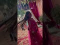 garmio mai shadi kyu karte hai log😆😆😂😂🤭#uttrakhnd #shortvideo #ytshorts #shortvideo