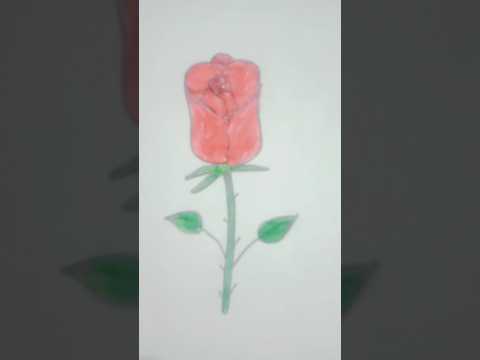 How To Draw Easy Flower II Rose Flower By Fatima Haidar