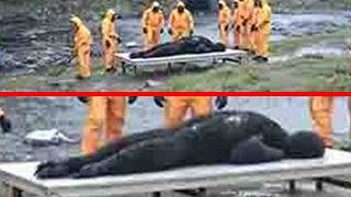 Shocking Phenomenon At The Skinwalker Ranch Leaves The Team In Shock