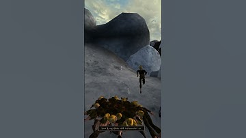 Killing the adoring fan in Morrowind every day until Skywind and Skyblivion are released Day - 277