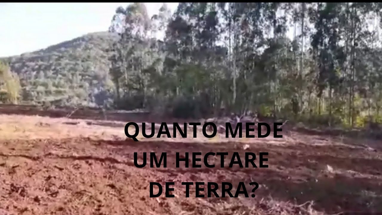 Quanto Mede Um Hectare De Terra YouTube