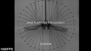 Design Optimization and System Integration of Robotic Hummingbird