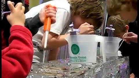 IceCube at the UW Madison Physics Fair