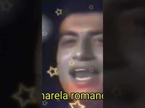 هدى القمر ايهاب توفيق