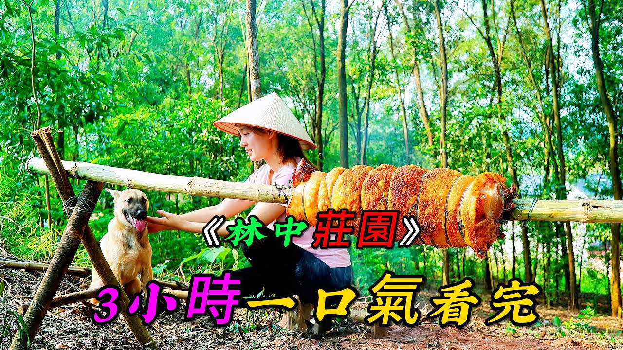 3小時一口氣看完《林中莊園》第一季（01-09）