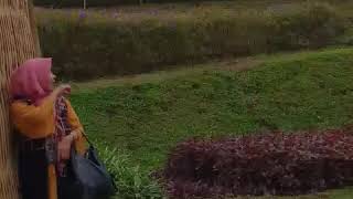 Download Lagu Bunga Mawar Di Tepi Telaga MP3