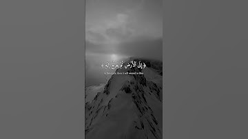 اذكر ربك 💕 #سورة_السجدة #عبدالرحمن_مسعد #اكسبلور #لايك #quran #foryou #explore