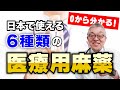 【疼痛緩和 基本のキ】日本で使える6種類の医療用麻薬の基本的特徴を解説(モルヒネ,オキシコドン,ヒドロモルフォン,タペンタドール,フェンタニル,メサドン)#52