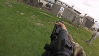 Muzzle Discipline Training