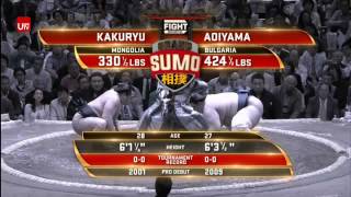 Fight Sports Sumo - Tokio 2016 Поединок