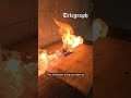 What Happens When a Power Bank Explodes?