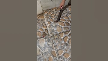 Con rết to quá mn ạ