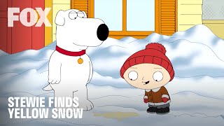 Family Guy | Don't Eat Yellow Snow Stewie! | FOX TV UK